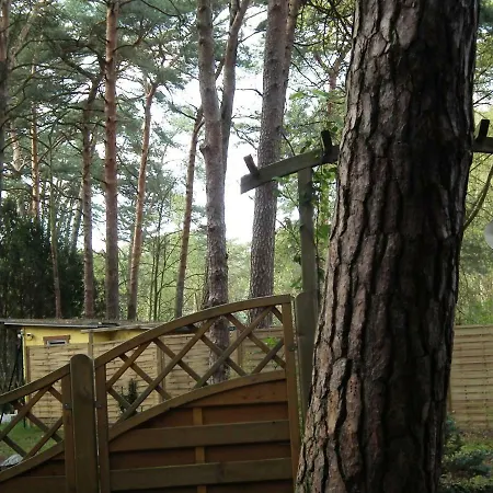 Ferienhaus Wolfi Bad Saarow